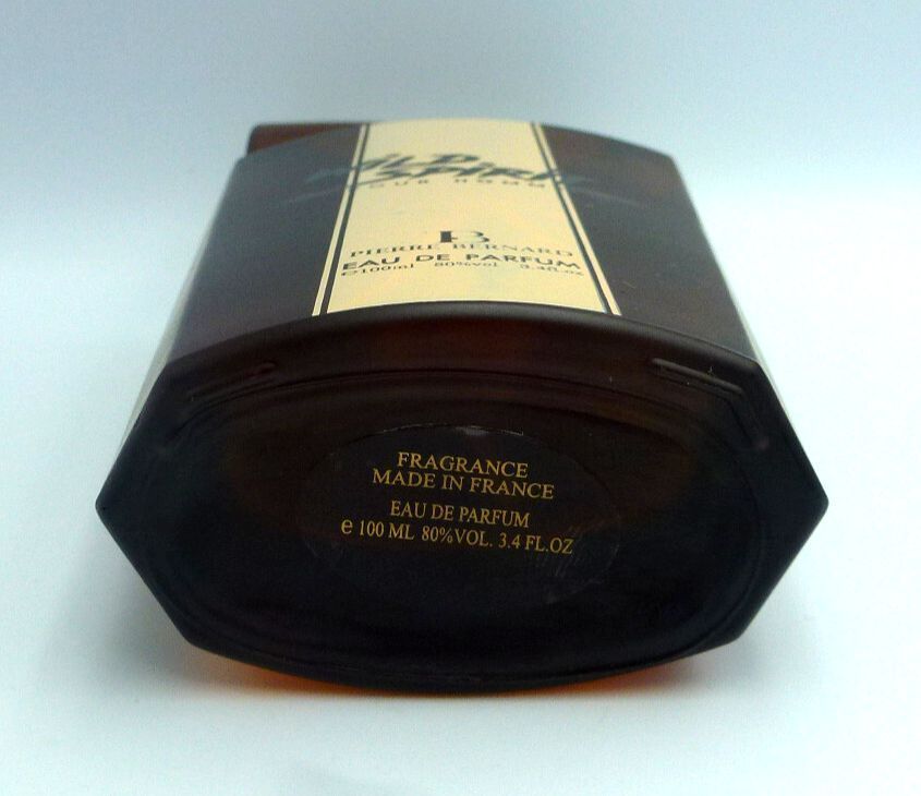 WILD SPIRIT pour Homme by Pierre Bernard - Eau de Parfum 100 ml (Vintage)